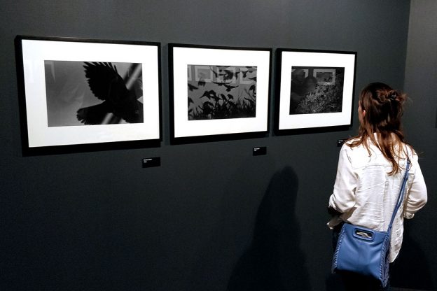 masahisa fukase madrid exhibition 2024 03